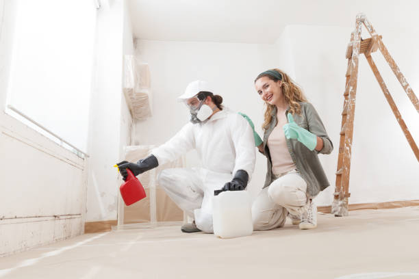 Environmental Consulting for Mold Prevention in Michigan City, IN
